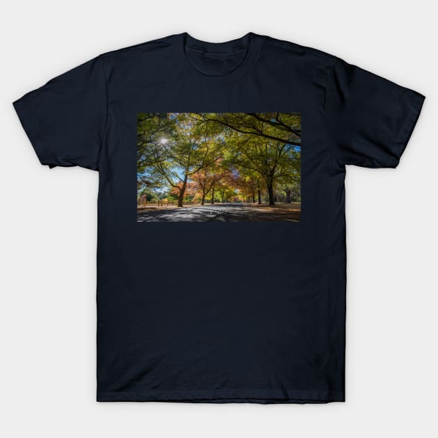 Honour Avenue, Mount Macedon, Victoria, Australia. T-Shirt by VickiWalsh